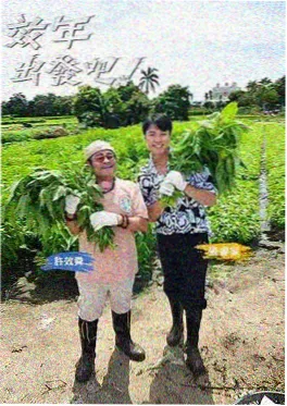 大牛影库综艺《这就是舞台》